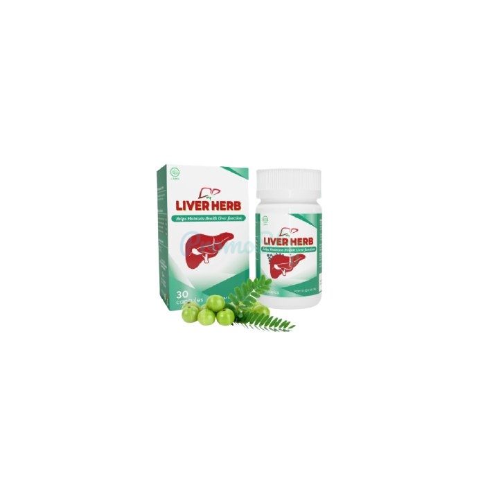 ⦗ Liver Herb ⦘ ⦗ kapsul untuk penyakit liver ⦘