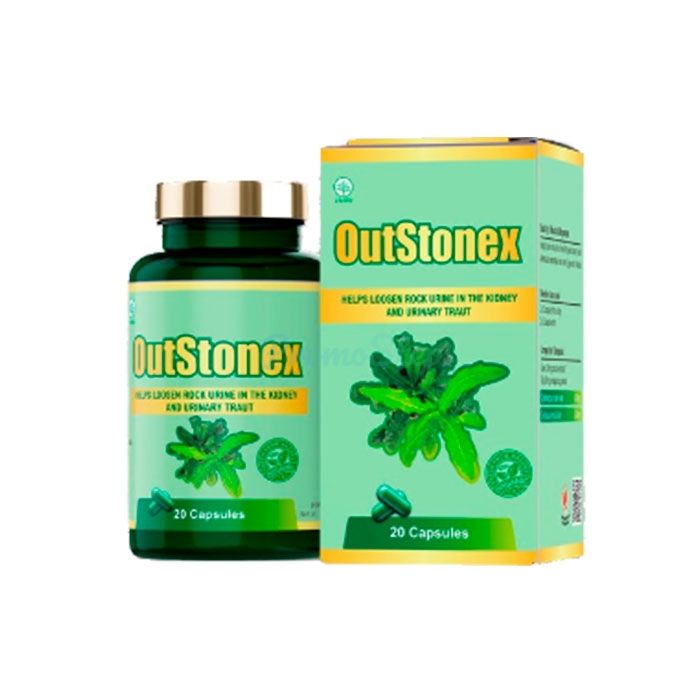 ⦗ OutStonex ⦘ ⦗ obat penyakit ginjal ⦘