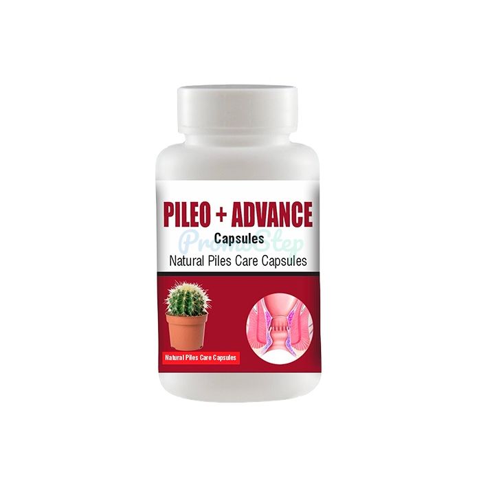 ⦗ Pileo + Advance ⦘ ⦗ remedy for hemorrhoids ⦘